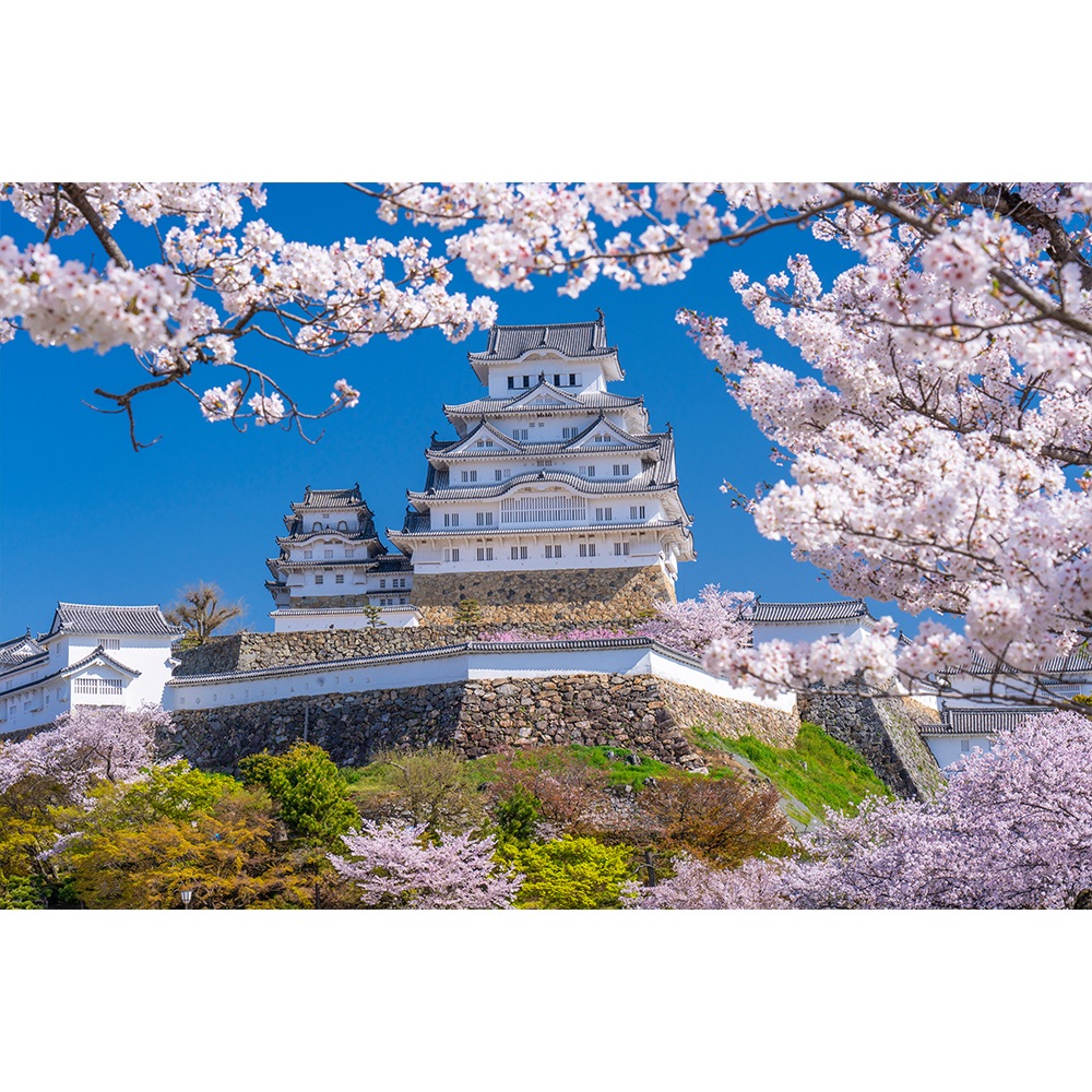 【全商品オープニング価格 特別価格】 GraphicBaseオンラインショップ | 【サイズオーダー】写真 壁紙 アート・デザイン・音楽