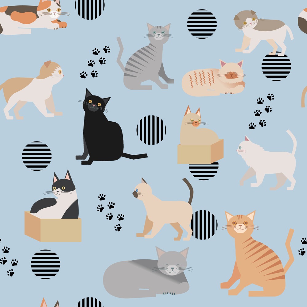 ねこページ Amazon.co.jp: せかいいちのねこ (MOEのえほん) : ヒグチユウコ: 本