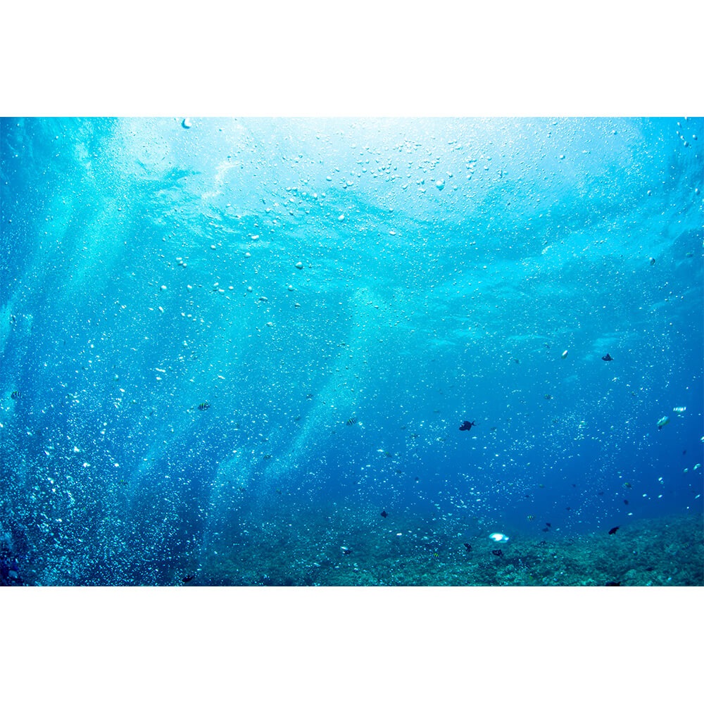 Graphicbaseオンラインショップ サイズオーダー 写真壁紙 シート 海 海中 そらのした H Ss