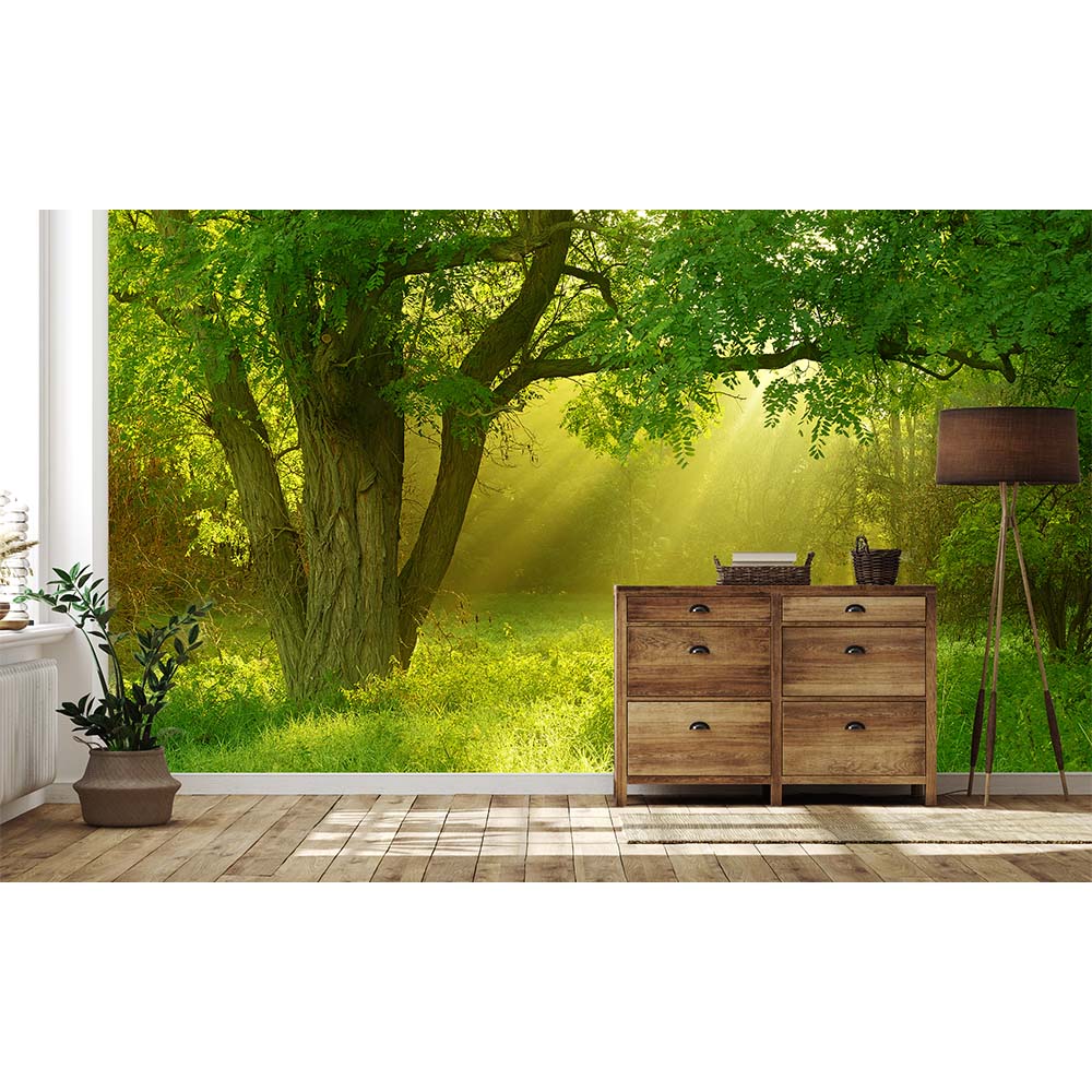 Graphicbaseオンラインショップ サイズオーダー 写真壁紙 シート 森 森の中 そらのした H Ss