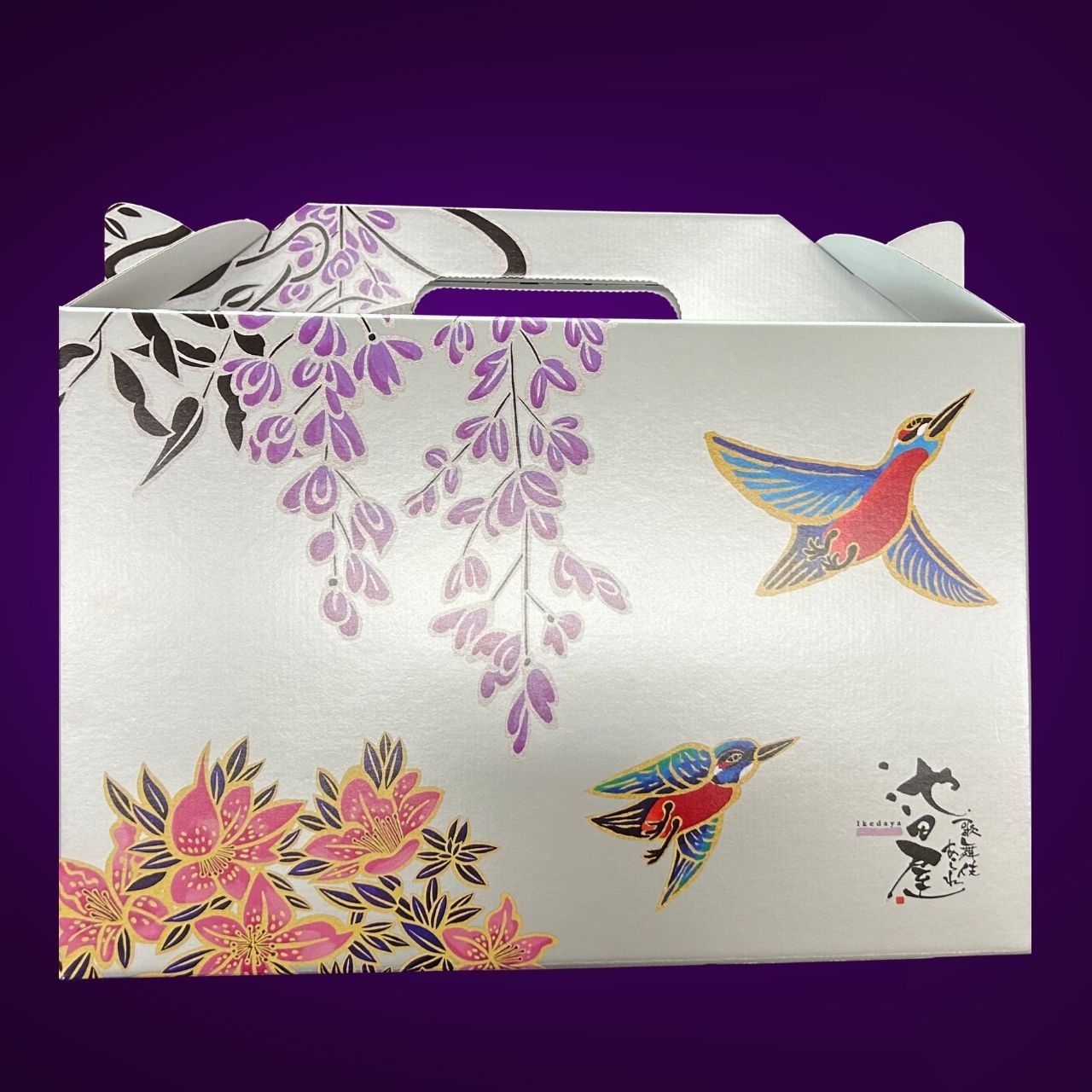 �ǥ�����BOX��Ȣ�Τߡ�