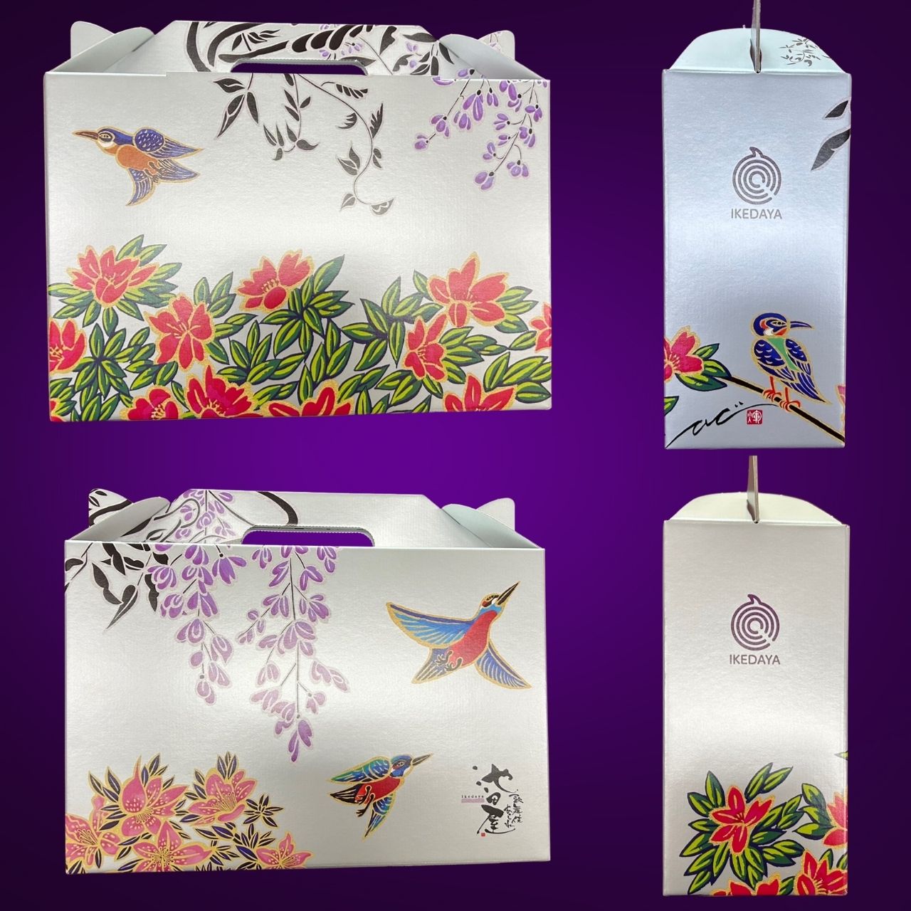 �ǥ�����BOX��Ȣ�Τߡ�