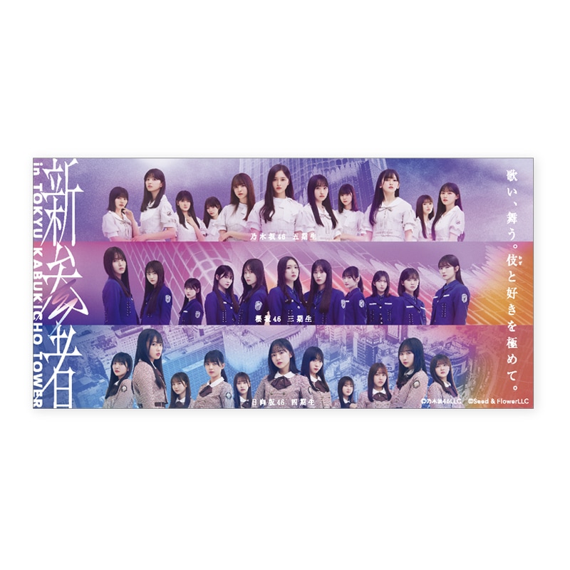 激安正規  乃木坂46 新参者 ステッカー 全11種 全メンバー セット アイドル