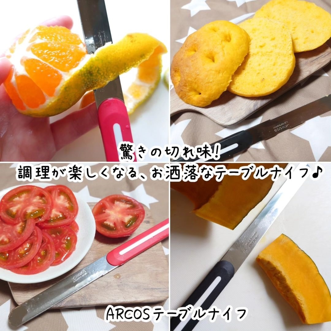 アルコス テーブルナイフ 1本 刃渡り10cm スペイン製 食洗機対応