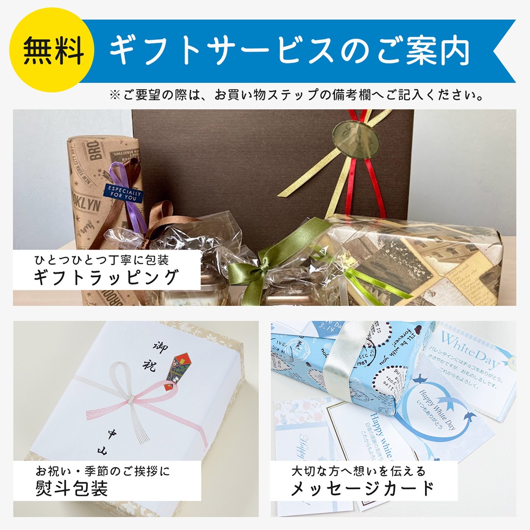 CASIO earU ヒアリングアシストイヤホン ER-100 カシオ イアユー