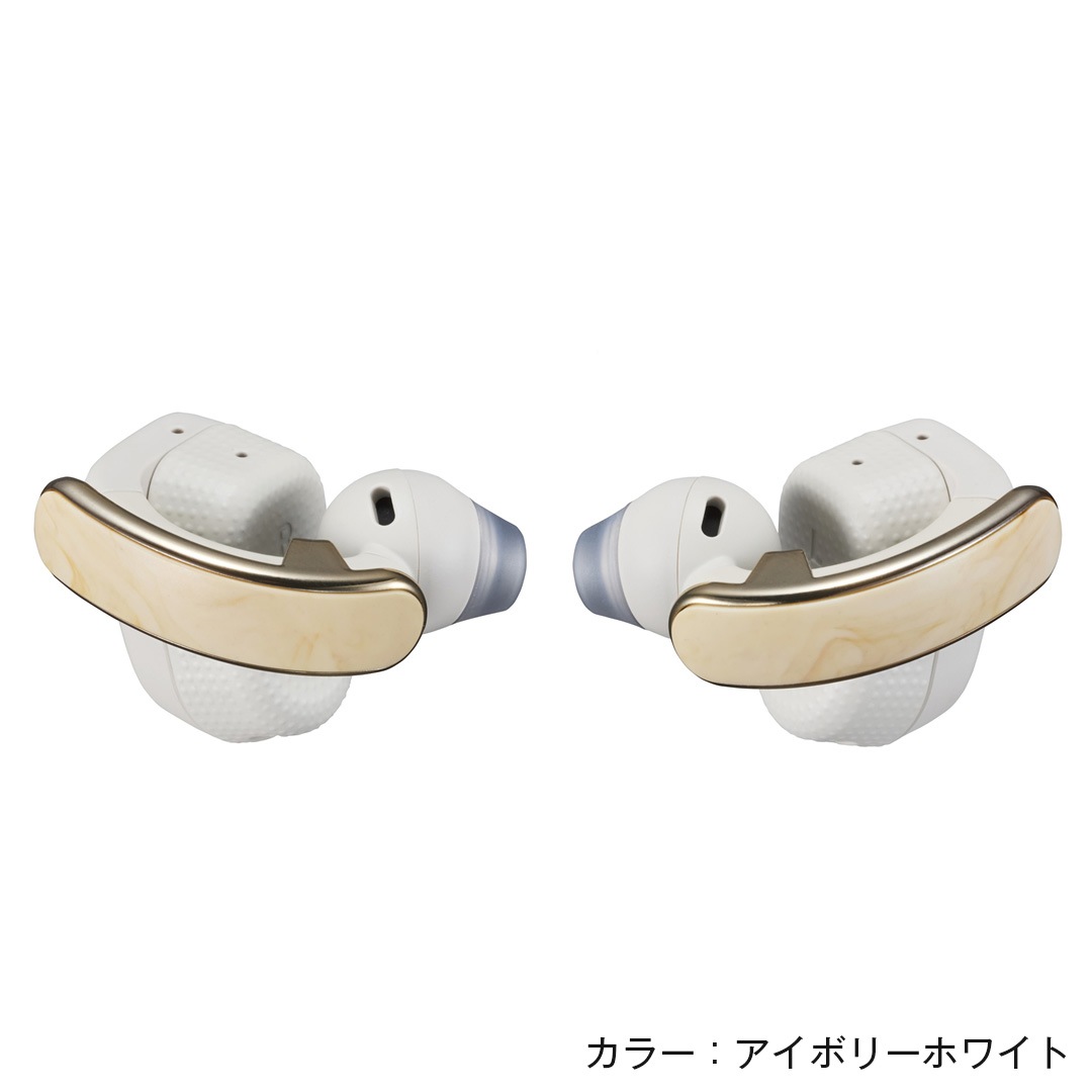 CASIO earU ヒアリングアシストイヤホン ER-100 カシオ イアユー