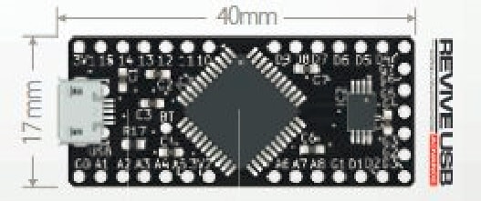 REVIVE USB ADVANCE