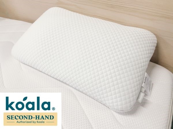 դԥ  koala ޥåȥ쥹  ȿȯ 12500ߡ