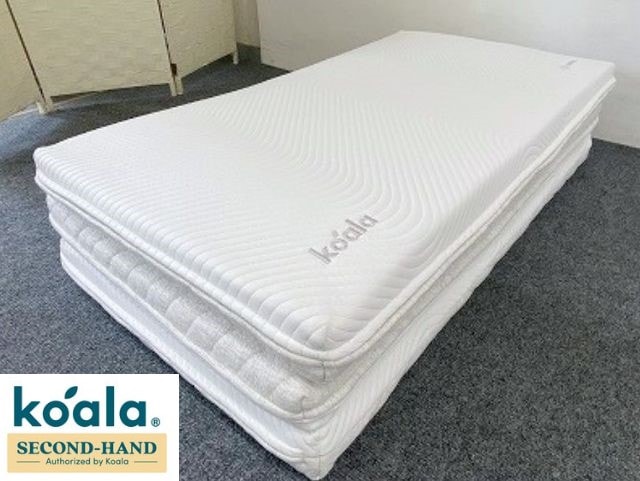 13ʰ¡ۥߥ֥ եȥ OASIS  ޥåȥ쥹 koala  ȿȯ 6