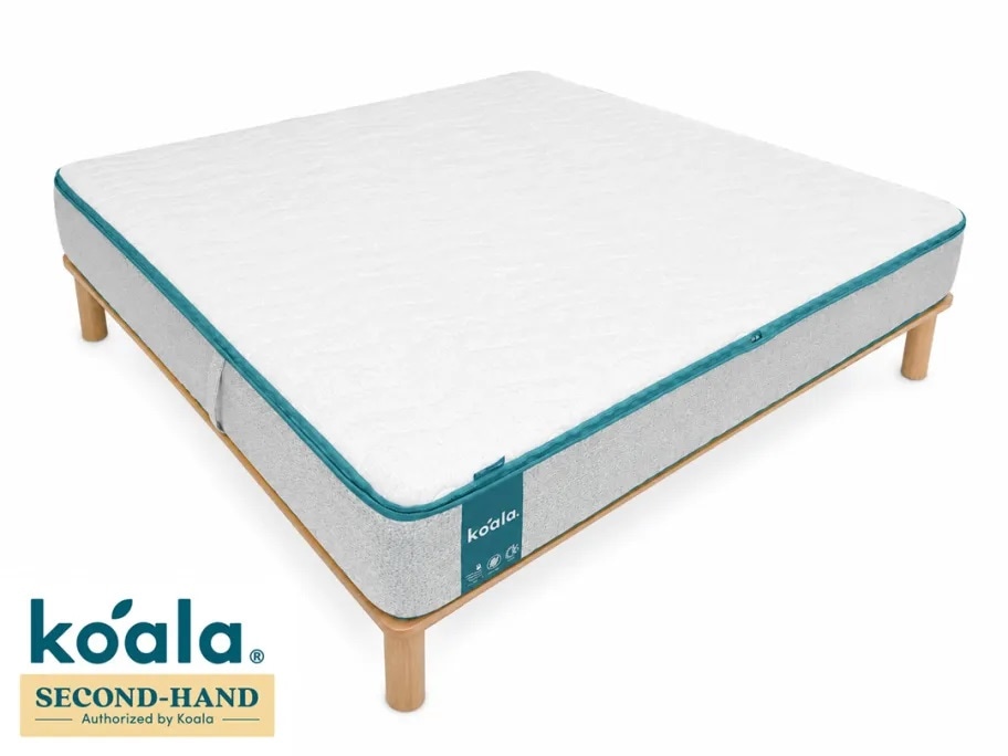 ��Koalaǧ������ʡۥ�����ޥåȥ쥹 koala �ץ饹 PLUS ���� �ޥåȥ쥹�Τ�  PLUS�忧K
