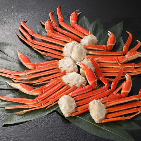 中国真いかするめ足【2kg】Sサイズ 中国真いかするめ足【2kg】Sサイズ