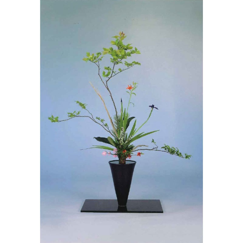 フラワーショップ花楽 | 新商品一覧
