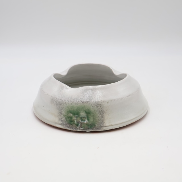 特価・アウトレット品 | フラワーショップ花楽