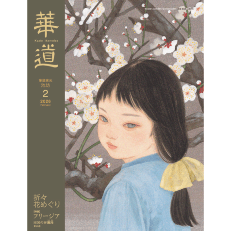 アクリル水盤剣山セット ｺﾞｰﾙﾄﾞ / ｼﾙﾊﾞｰ | 花器・花瓶,アクリル/樹脂