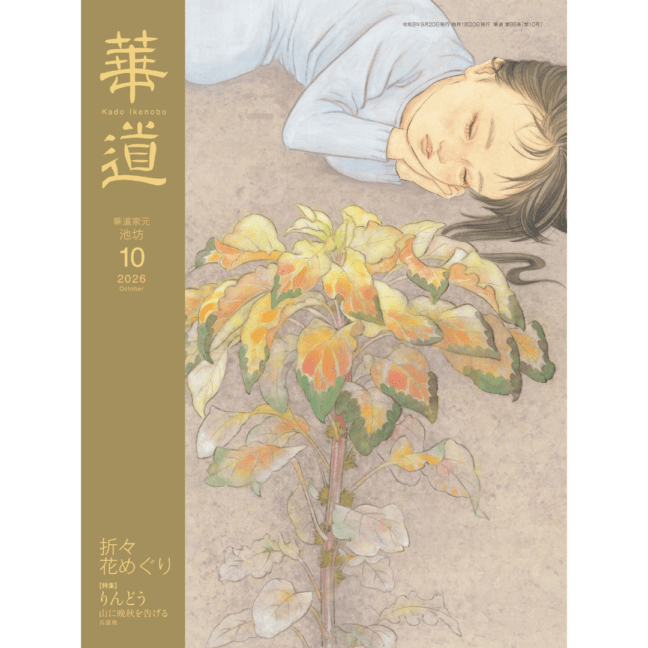生け花 花器・道具の販売通販なら花楽池坊フラワーショップ