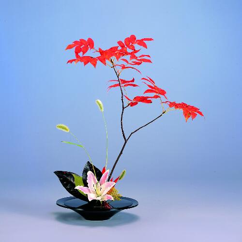 アクリル水盤剣山セット(丸) 黒 | 花器・花瓶,アクリル/樹脂