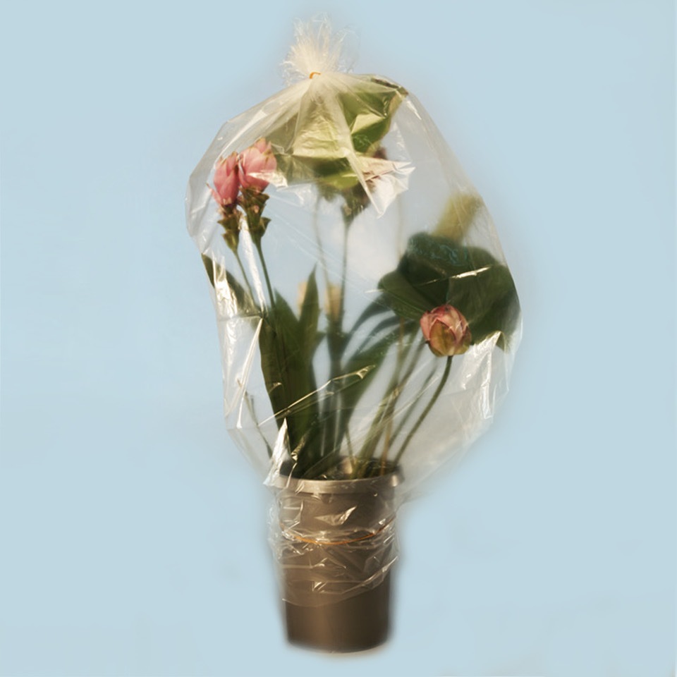 みずみずシートl 華道具 水揚げ関係 フラワーショップ花楽