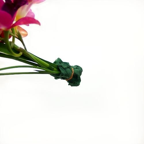 ステムティッシュ 華道具 水揚げ関係 フラワーショップ花楽