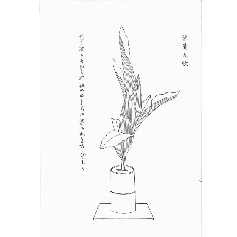 画集 生花図 華道 （画会芳名録）？肉筆手書き 2冊 HOT，本物保証