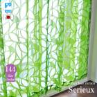 졼ƥ ̲  144  ǥ졼 2  Serieux ꥦۡ100cmҡ5極