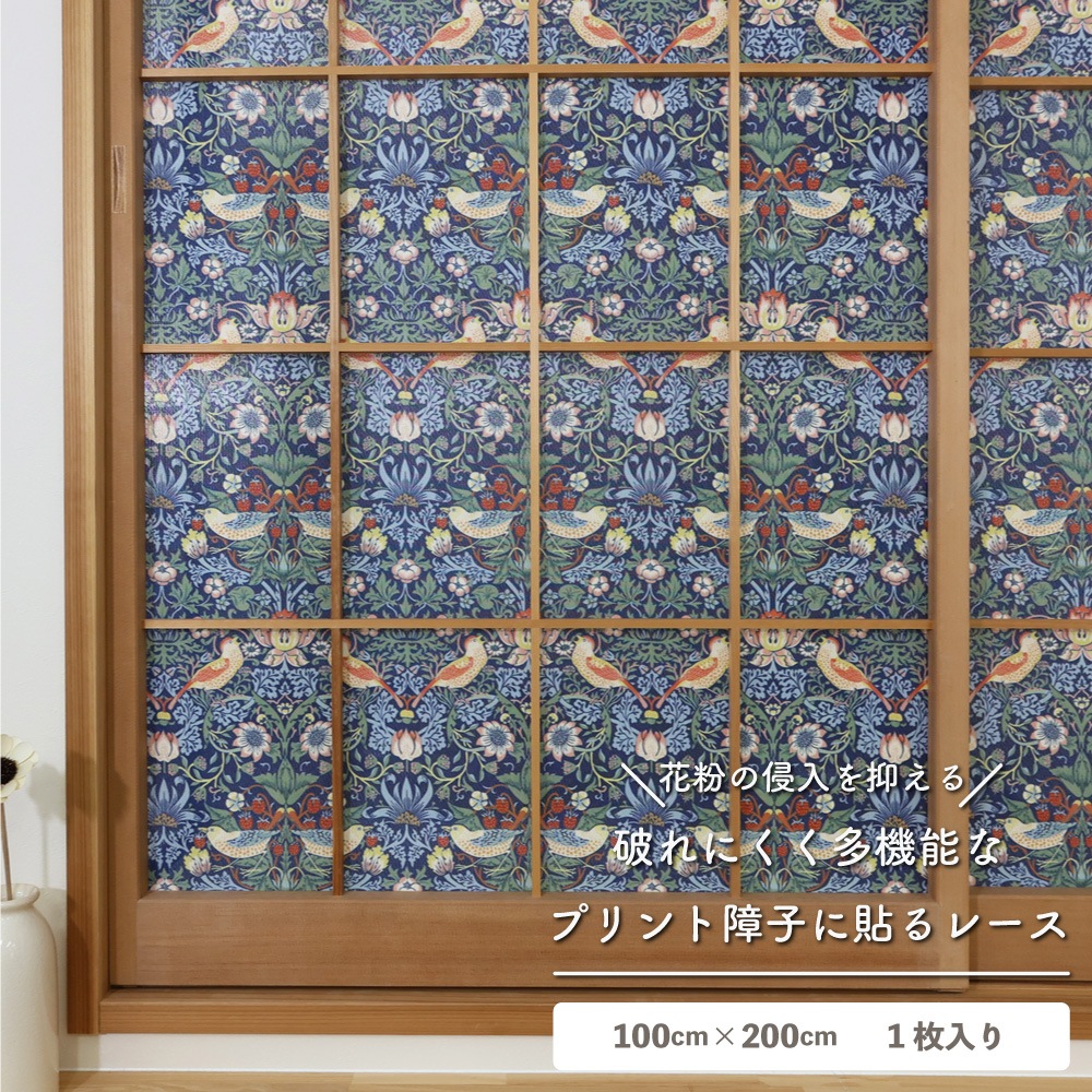 ��������̵�������ھ�Ҥ�Ž��졼���ۡ�1������ۥ����ꥢ�ࡦ��ꥹ �ˤ�ʤ���һ� ��Ǯ ��ʴ����å� ��Ǯ �θ��� �̵��� ��ȴ�ñ DIY ������