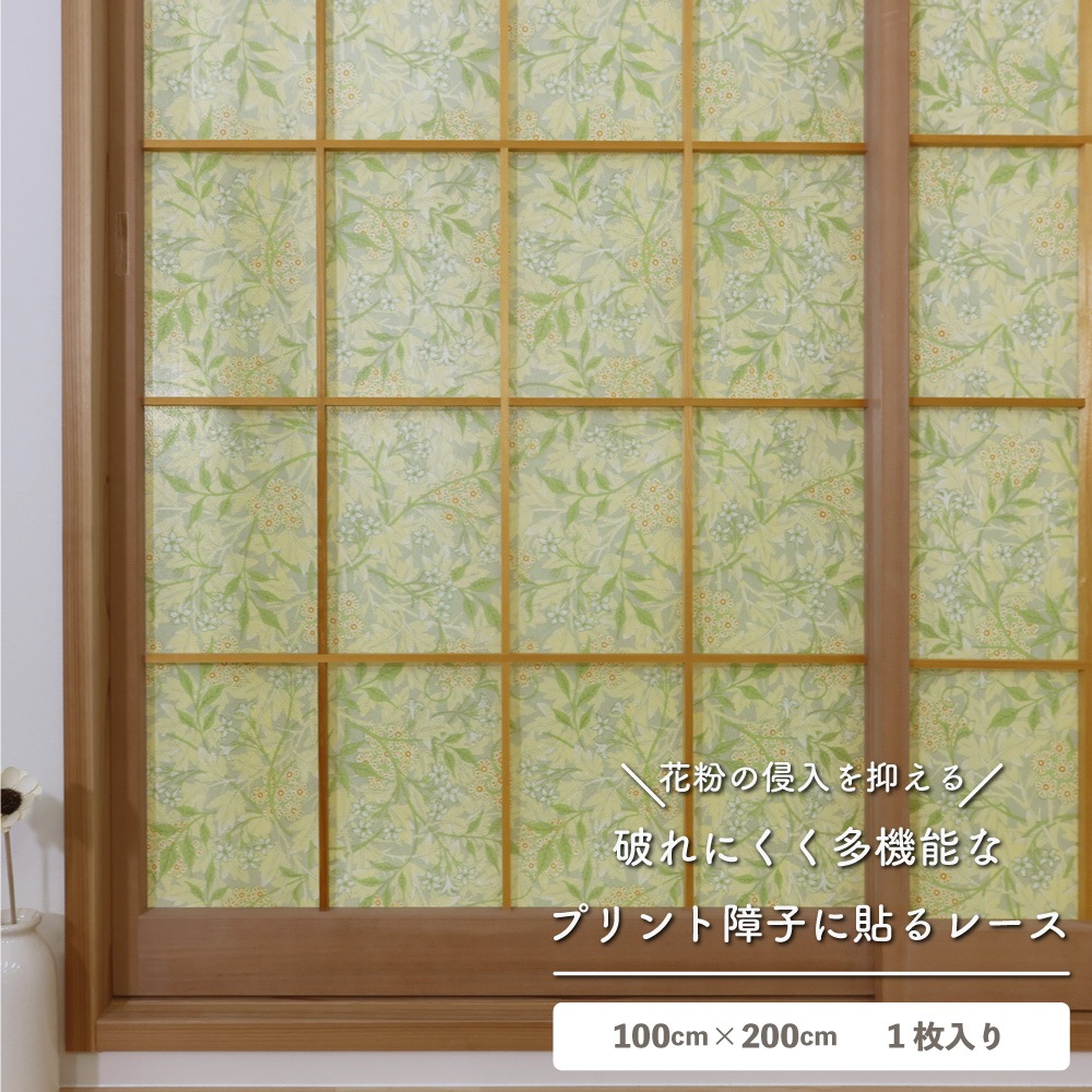 ��������̵�������ھ�Ҥ�Ž��졼���ۡ�1������ۥ����ꥢ�ࡦ��ꥹ �ˤ�ʤ���һ� ��Ǯ ��ʴ����å� ��Ǯ �θ��� �̵��� ��ȴ�ñ DIY ������