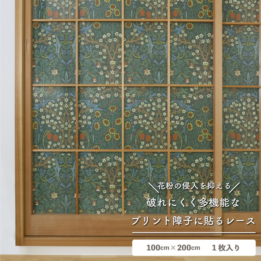 ��������̵�������ھ�Ҥ�Ž��졼���ۡ�1������ۥ����ꥢ�ࡦ��ꥹ �ˤ�ʤ���һ� ��Ǯ ��ʴ����å� ��Ǯ �θ��� �̵��� ��ȴ�ñ DIY ������