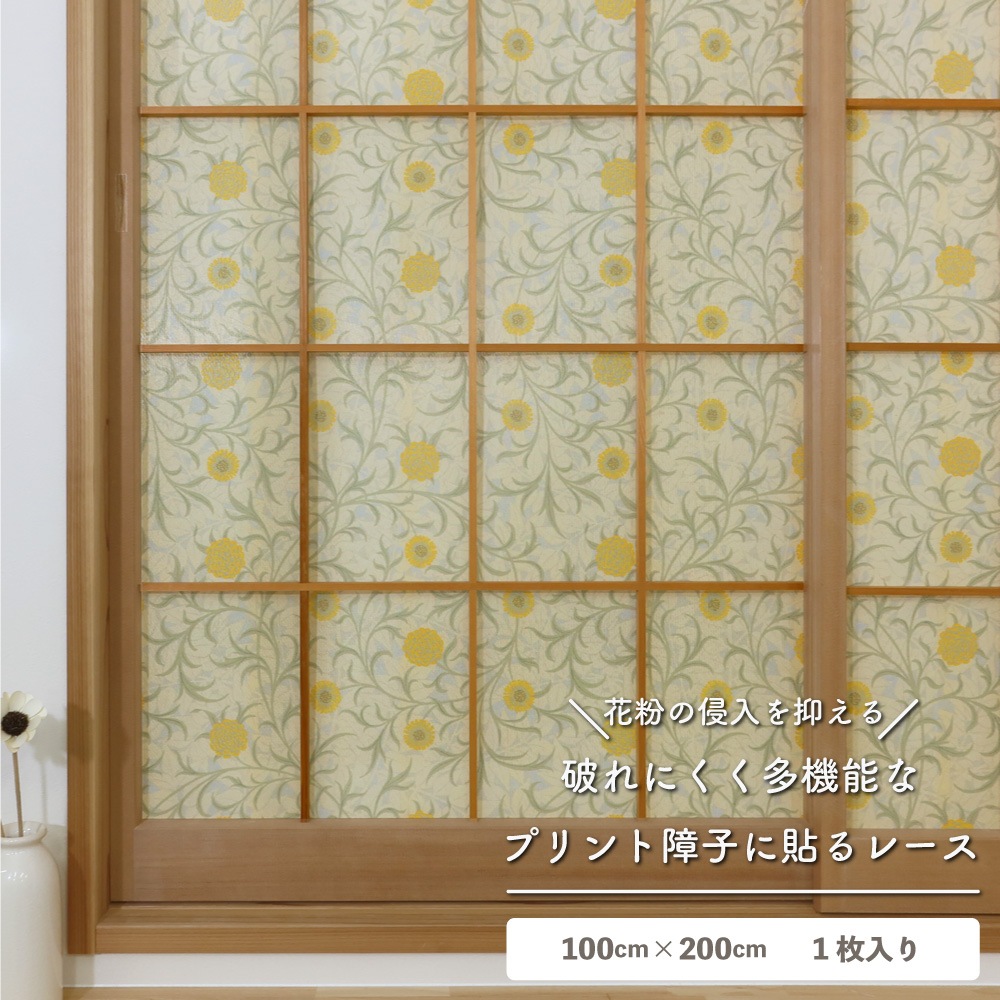 ��������̵�������ھ�Ҥ�Ž��졼���ۡ�1������ۥ����ꥢ�ࡦ��ꥹ �ˤ�ʤ���һ� ��Ǯ ��ʴ����å� ��Ǯ �θ��� �̵��� ��ȴ�ñ DIY ������