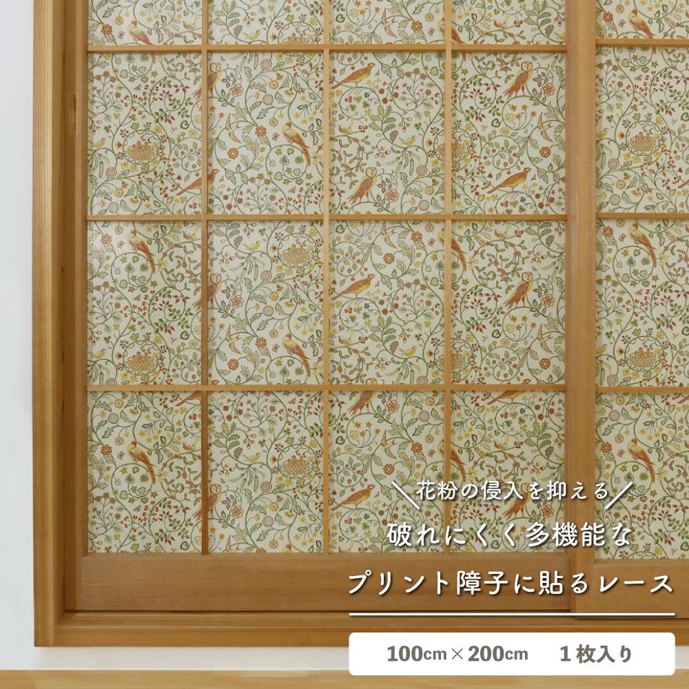 ��������̵�������ھ�Ҥ�Ž��졼���ۡ�1������ۥ����ꥢ�ࡦ��ꥹ �ˤ�ʤ���һ� ��Ǯ ��ʴ����å� ��Ǯ �θ��� �̵��� ��ȴ�ñ DIY ������