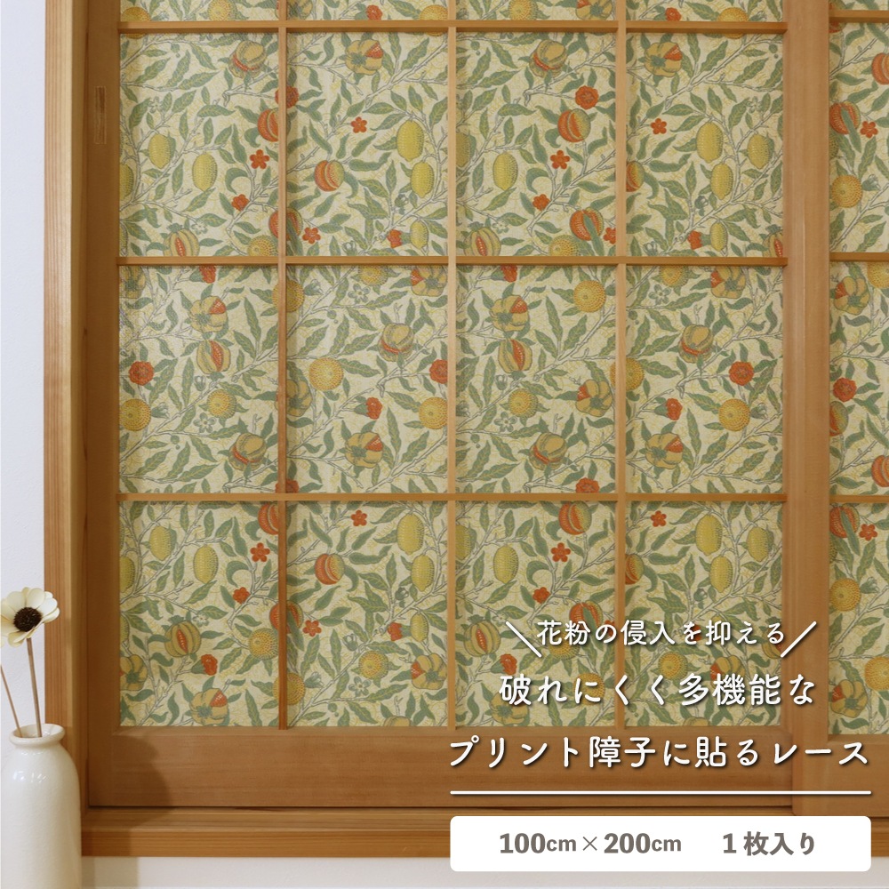 ��������̵�������ھ�Ҥ�Ž��졼���ۡ�1������ۥ����ꥢ�ࡦ��ꥹ �ˤ�ʤ���һ� ��Ǯ ��ʴ����å� ��Ǯ �θ��� �̵��� ��ȴ�ñ DIY ������