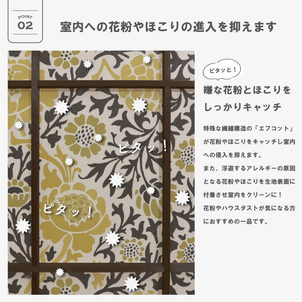 ��������̵�������ھ�Ҥ�Ž��졼���ۡ�1������ۥ����ꥢ�ࡦ��ꥹ �ˤ�ʤ���һ� ��Ǯ ��ʴ����å� ��Ǯ �θ��� �̵��� ��ȴ�ñ DIY ������