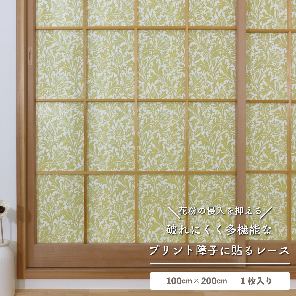 ��������̵�������ھ�Ҥ�Ž��졼���ۡ�1������ۥ����ꥢ�ࡦ��ꥹ �ˤ�ʤ���һ� ��Ǯ ��ʴ����å� ��Ǯ �θ��� �̵��� ��ȴ�ñ DIY ������