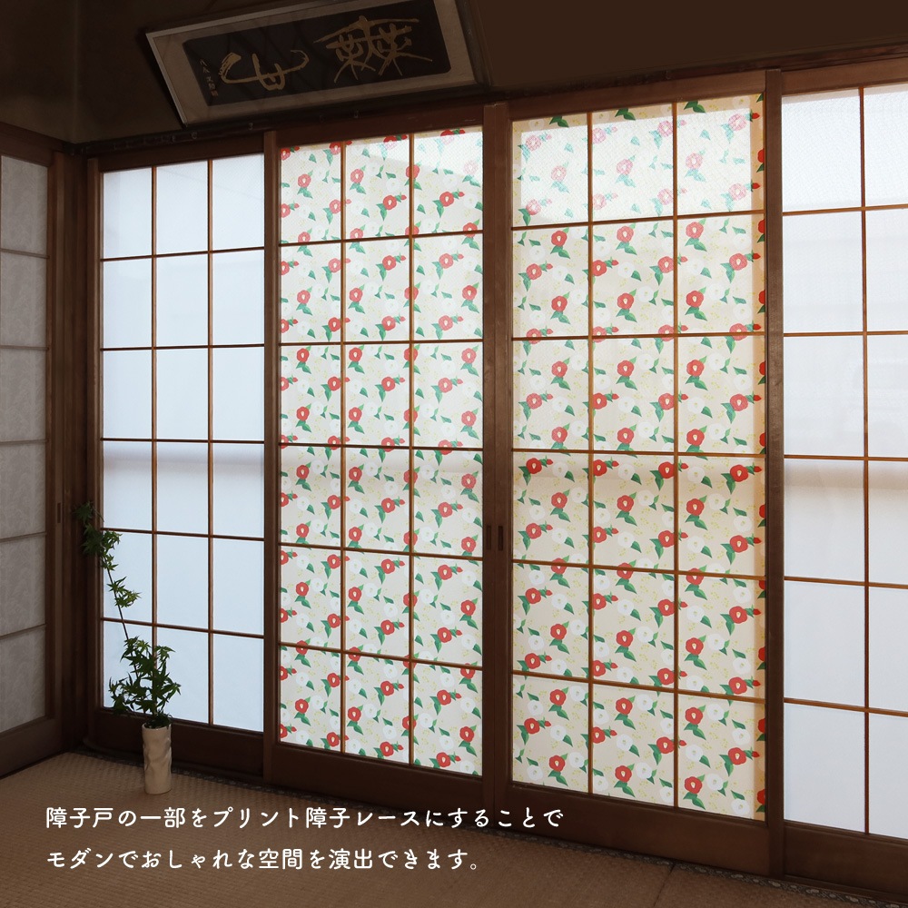 ��������̵�������ھ�Ҥ�Ž��졼���ۡ������ۡ�1��������ˤ�ʤ���һ� ��Ǯ ��ʴ����å� ��Ǯ �θ��� �̵��� ��ȴ�ñ DIY ������