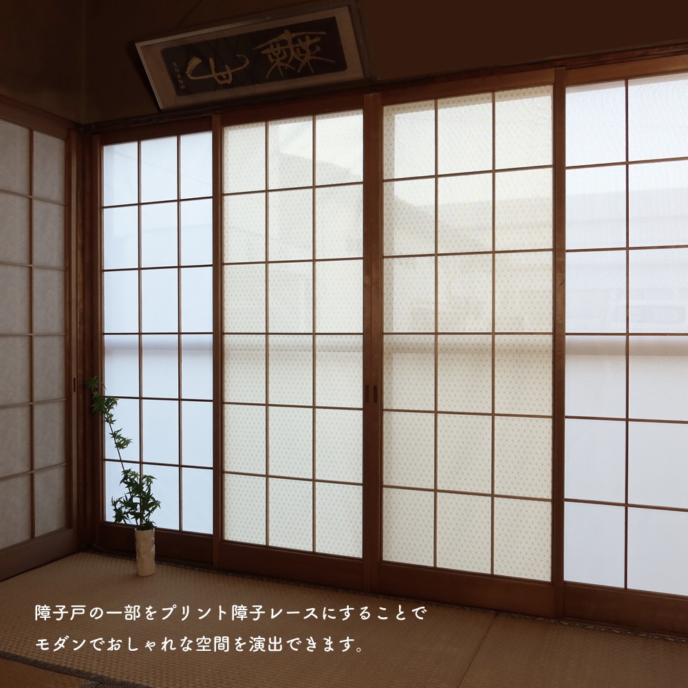 ��������̵�������ھ�Ҥ�Ž��졼���ۡ������ۡ�1��������ˤ�ʤ���һ� ��Ǯ ��ʴ����å� ��Ǯ �θ��� �̵��� ��ȴ�ñ DIY ������