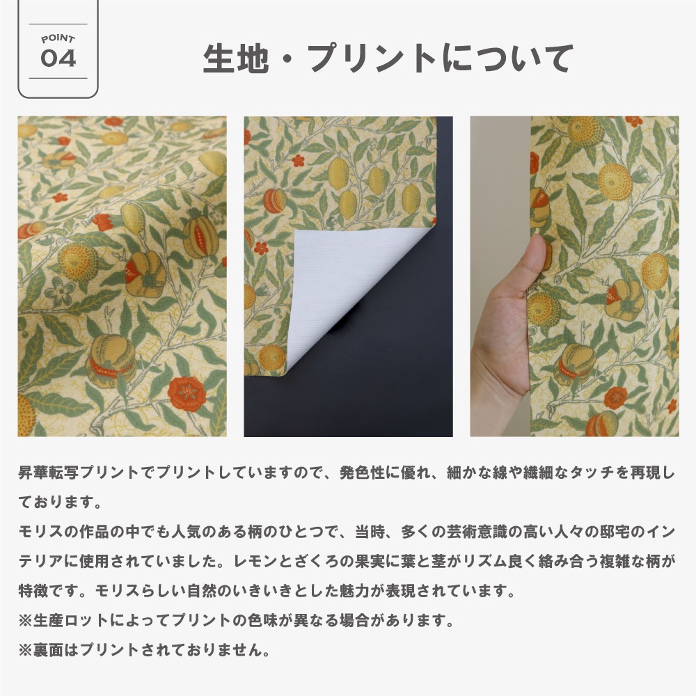 ̵¿Хꥨۡڳ144ۥꥢࡦꥹ ɥ졼ץƥ <ե롼/Fruit>3׸ۡɱۡǮۡġ