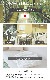�ⵡǽ�ߥ顼�졼�������ƥ� �������� 2���� ��ʴ����å� ��Ǯ ��Ǯ ���� UV���å� 144������ ������ ��FREED �ե꡼�ɡ� 100cm�ҡ����־�5������
