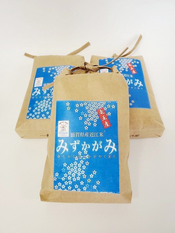 新米　みずかがみ　精米 滋賀県産 無洗米 みずかがみ 白米 4月精米 10kg（5kg×2袋）