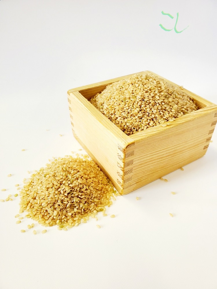 近江米コシヒカリ　15㎏ 近江米コシヒカリ 新米 玄米 15kg