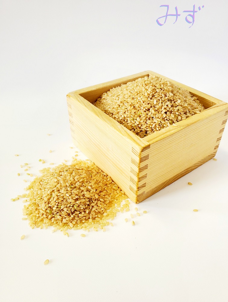 ���� 2025ǯ�� ε���� �ߤ�������5kg