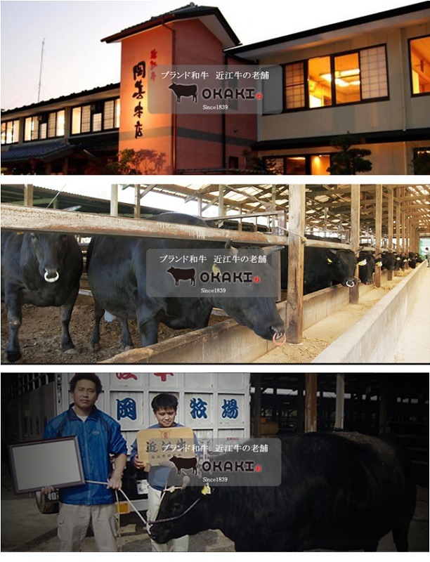 �Ṿ�����Ƥ����ѡʥ����400���