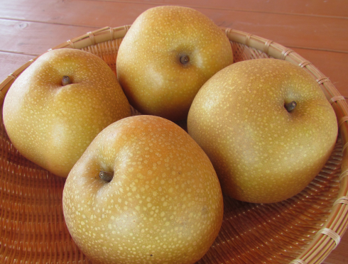 ʤȢ
