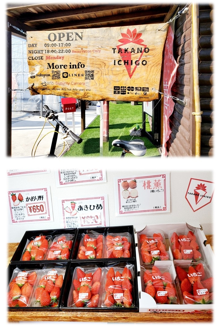 ���������Τ����������