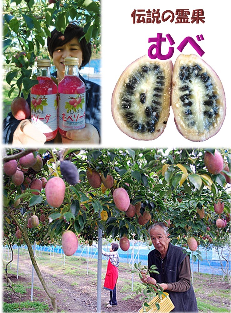 ��٥�����