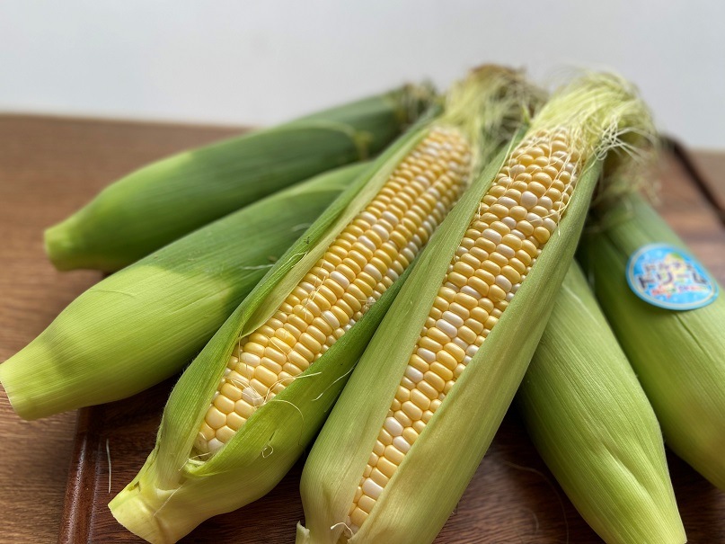 �Ȥ�������������������ե����ࡡ10������