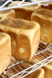 ΤǤ뤳꿩ѥ/ѥŹֿѥޡŹפοѥ