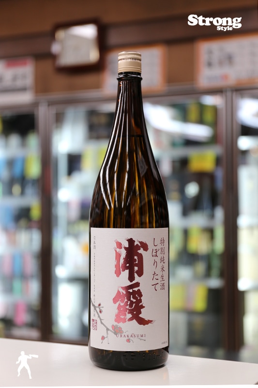 勝駒　純米酒　しぼりたて生　720ml×2本 勝駒 純米酒 しぼりたて 生酒 二本（印象のデザイン なかやす