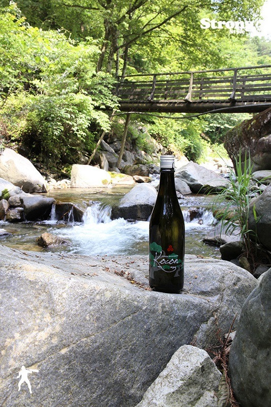 ����/߷���ޤĤ�� Kocon 720ml