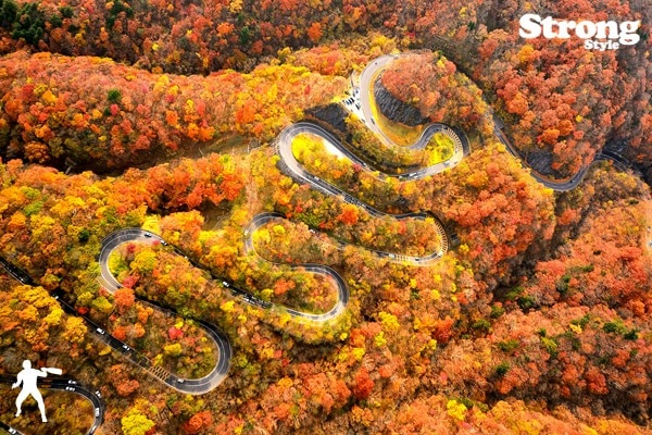 ˱������ ����-NIKKO- 2023 ����ȻŹ��߽��ƶ�� ��������� 720ml