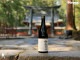 ˱ -NIKKO- 2022 ȻŹ߽ƶ  720ml