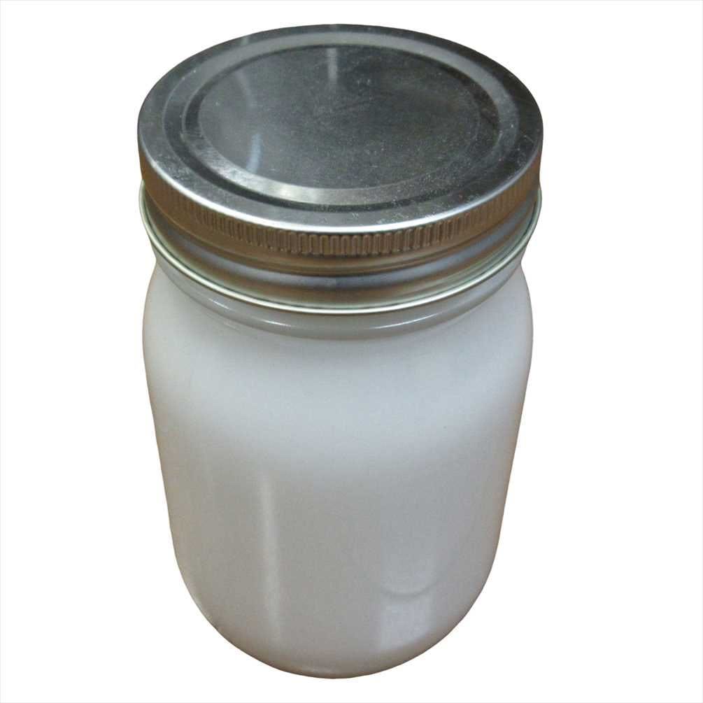 ���ӥ��� ���Х����� ���ӡ�������=10��10 450ml ��� �饤���� �ե��å� ���С������� ���塼�˥�